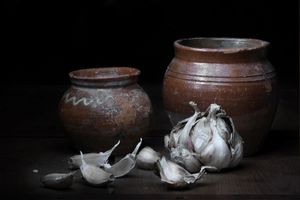 Garlic