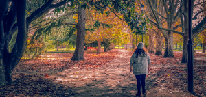 AUTUMN IN THE PARK