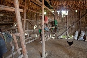 Tobacco drying