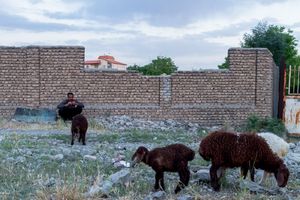 Man next to Wall, Yazd, Iran