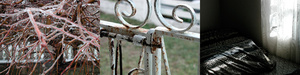 triptych view of t/here
