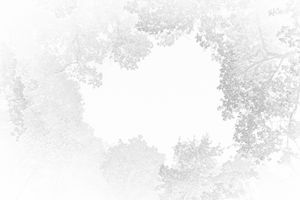 Social Beings 20