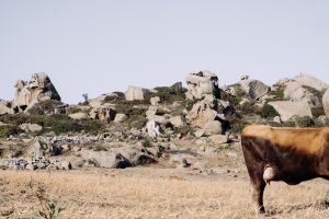 Naxos, Greece, 2018
