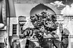 Young Meanderings