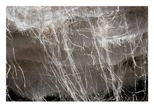 Disarrayed Symmetry 07