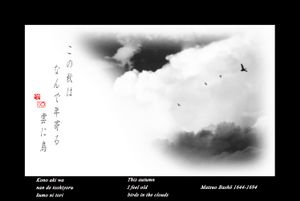 "This autumn" from the research "Haiku" © Roberto Spotti