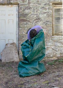 Green Bag