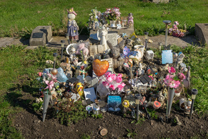 A garden for a child.