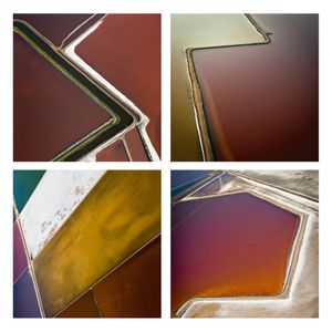 Salt Pond Grid II