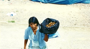 Camino a Trinidad. Bolivia