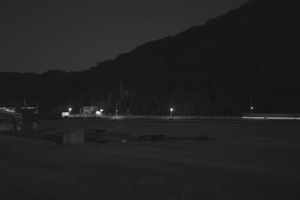 A factory and a way and rice field