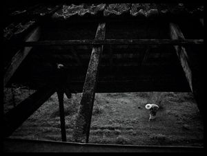 "Vestiges" - What remains of the extinct Cia Mogiana de Estradas de Ferro, responsible for the economic development of one of the richest regions of Brazil, in the States of São Paulo and Minas Gerais, in southeastern Brazil.
