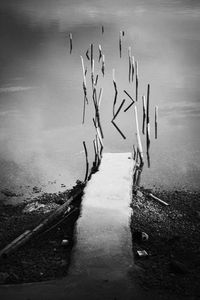 SMALL DOCK