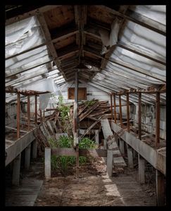 Potting Sheds Hancock Woodlands