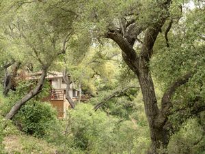 Topanga Canyon, 2018