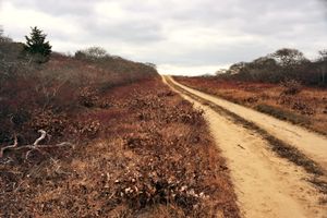 Nature Conservancy, Nantucket, 2012