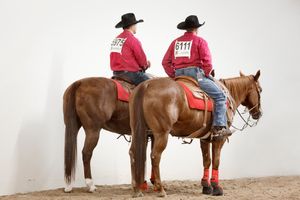 Phil&Drew, International Gay Rodeo Finals, Las Vegas, Nevada 2016
