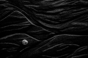 Sand and shell