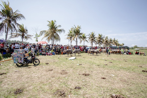MAKEPUNG CIRCUIT