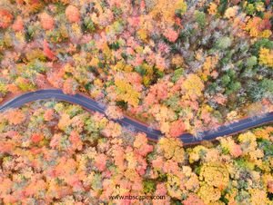 Fall Drive