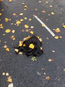 Wig 1