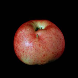 Detail from Genetic Traits (Lot 4135), 2003, chromogenic prints, Edition of 3 © Cynthia Greig