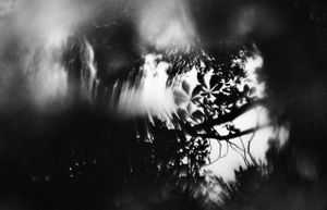 Blurred vision