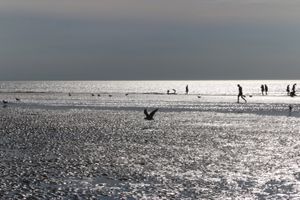 Plage de Dauville