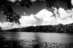 Lower Suwannee River