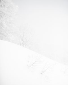 ZenMeditation - Plate 4