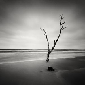 By The Water II © Hakan Strand