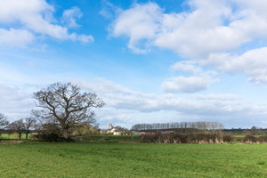 St. Andrew's, Bedingham