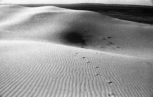 Dune #2