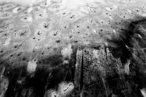 Lakeshore Operations | Dark Series #03
