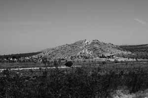 Alpine Butte Wildlife Sanctuary