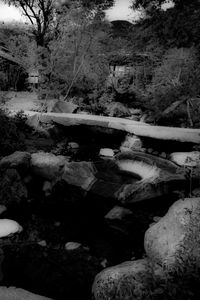 GARDEN STYLE  `SHAKKEI  '