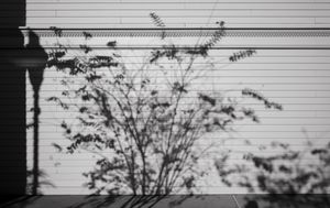 Untitled (Wall Shadows), Orlando, FL, 1 7 22, Photo by Joe Bruha, Copyright 2022