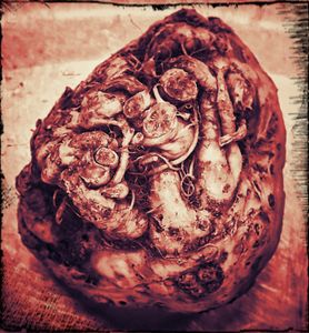 Celeriac Heart
