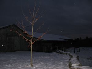 Gilmanton, N.H. © Matt Nighswander