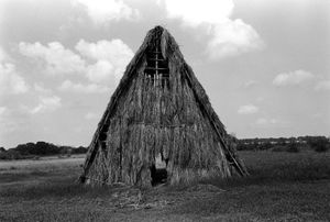 Piñar del Rio, Cuba, 2001 © Peter Kayafas