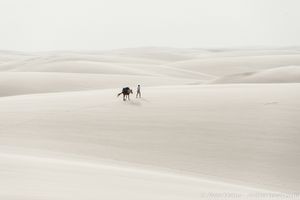 Walking to another world