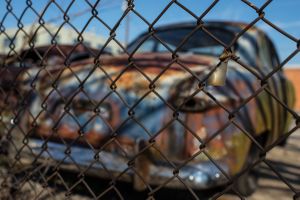 Beautiful decay.