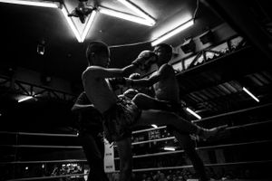 Young fighters