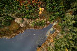 Lakeshore Operations | Fall Series #08