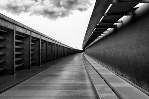 Alone in Bratislava