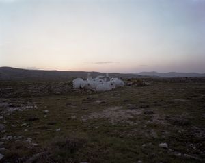 © Anne Patrick Favret-Manez