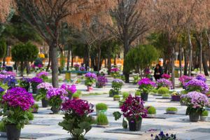 Cemetery