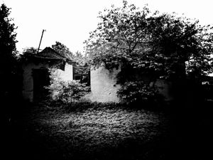 HOME SWEET HOME 7