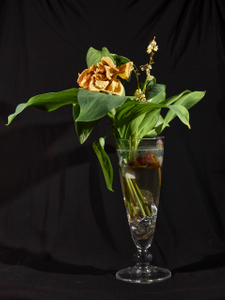 rose et muguet fanés
