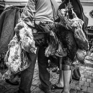 © Francisco Alcala Torreslanda